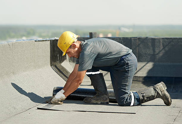 Best Specialized Insulation Services in Palmetto Estates, FL